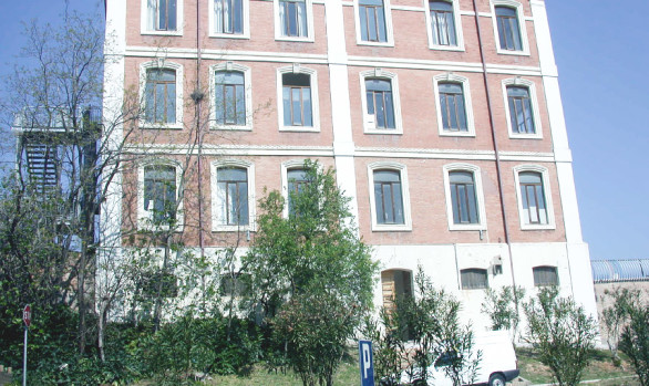 Portfolio Image
